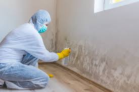 Best Environmental Consulting for Mold Prevention  in Bonners Ferry, ID